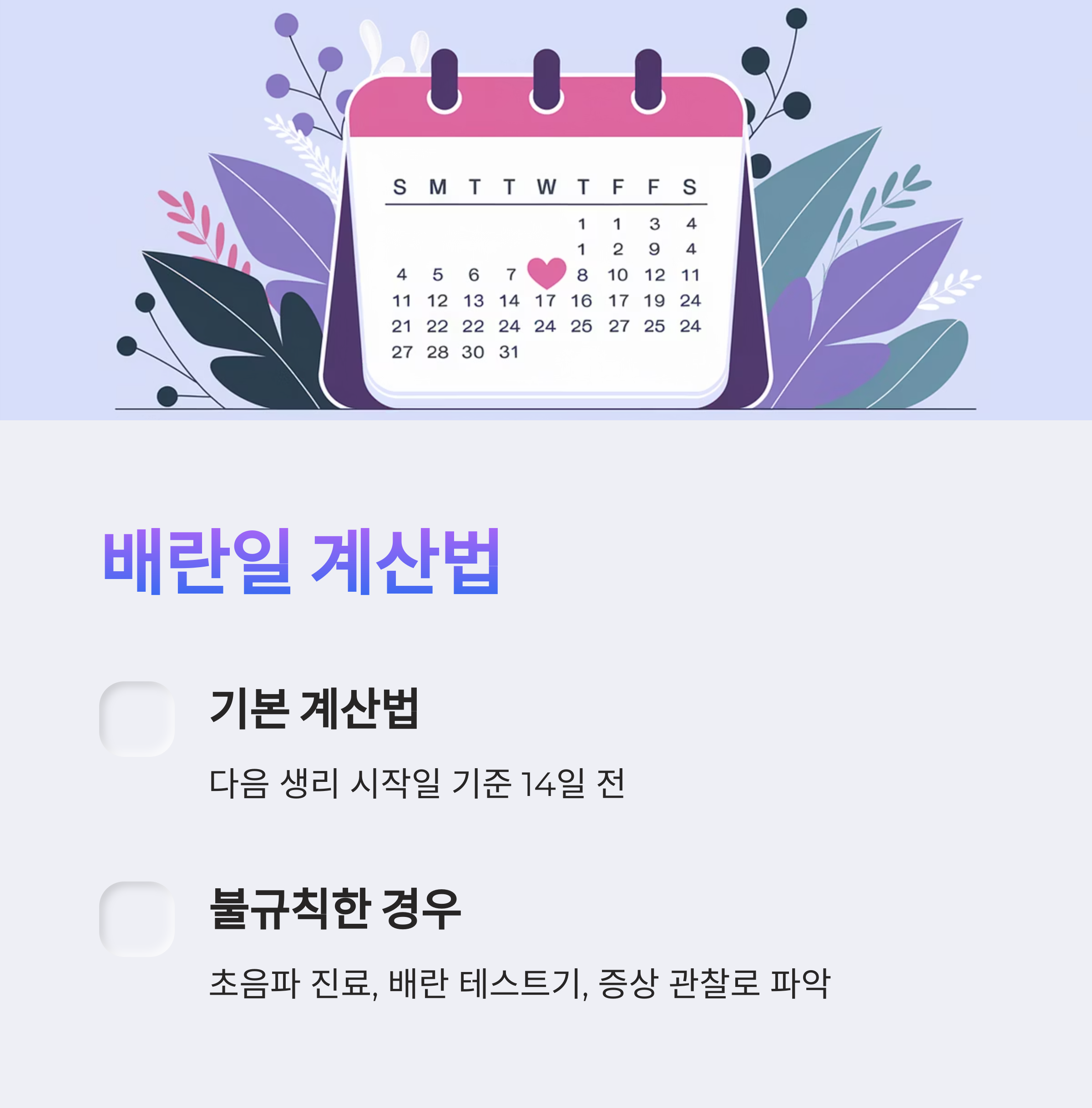 배란일 계산법 – 규칙적·불규칙 주기별 안내