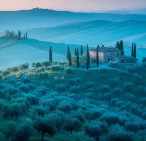 올리브오일 효능