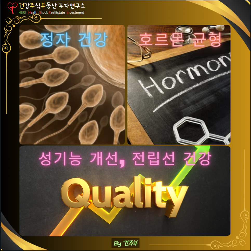 블랙마카 효능 : 정자 건강, 호르몬 균형, 성기능 개선, 전립선 건강