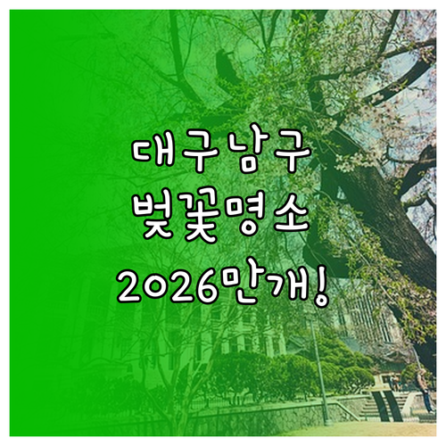 대구 남구 벚꽃 구경하기 좋은 곳과 ..