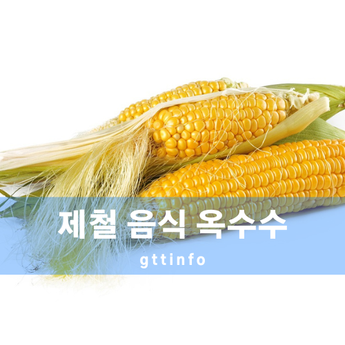 옥수수의 효능