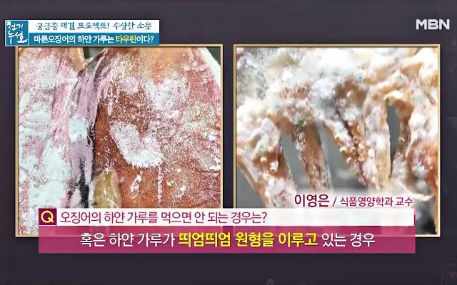 마른 오징어 하얀가루 곰팡이 마른오징어보관법
