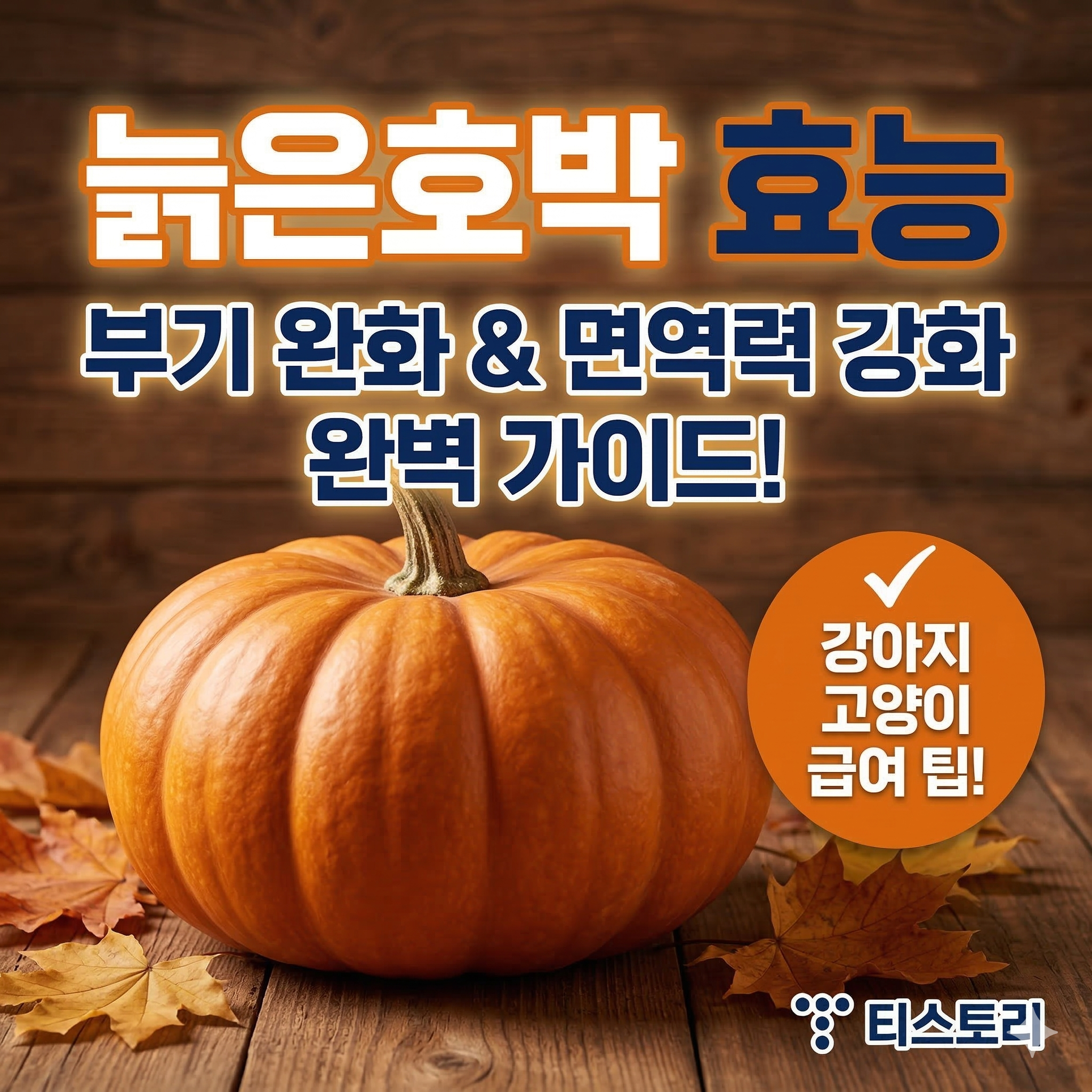 늙은호박 효능: 부기 제거부터 면역력 강화까지 최고의 보양식 가이드