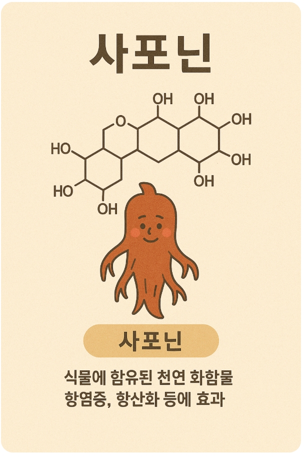 사포닌