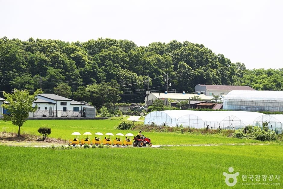 경기 아이와 가볼만한 곳