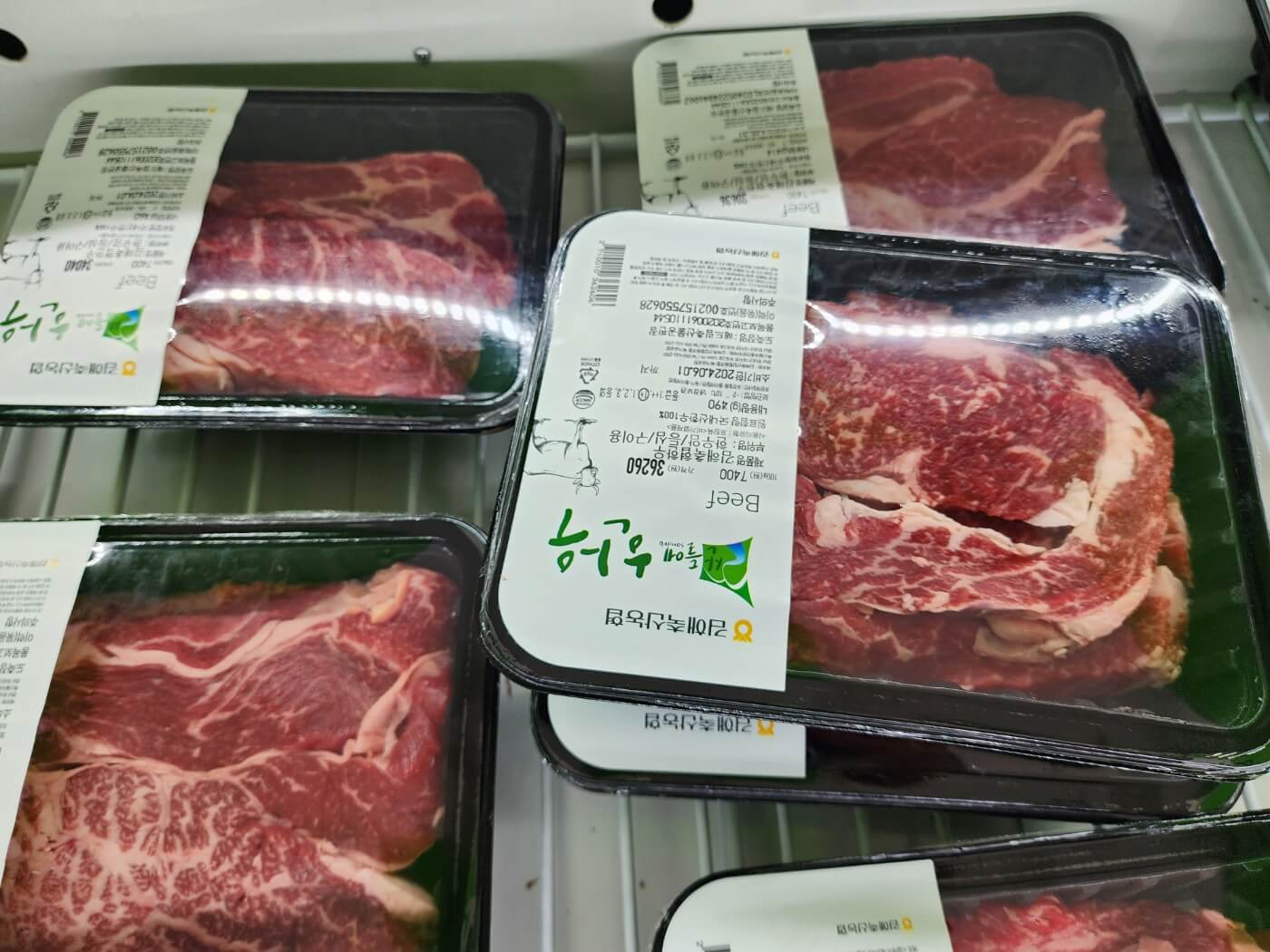 제1회 김해한우축제 일정, 개막 축하공연 초대가수