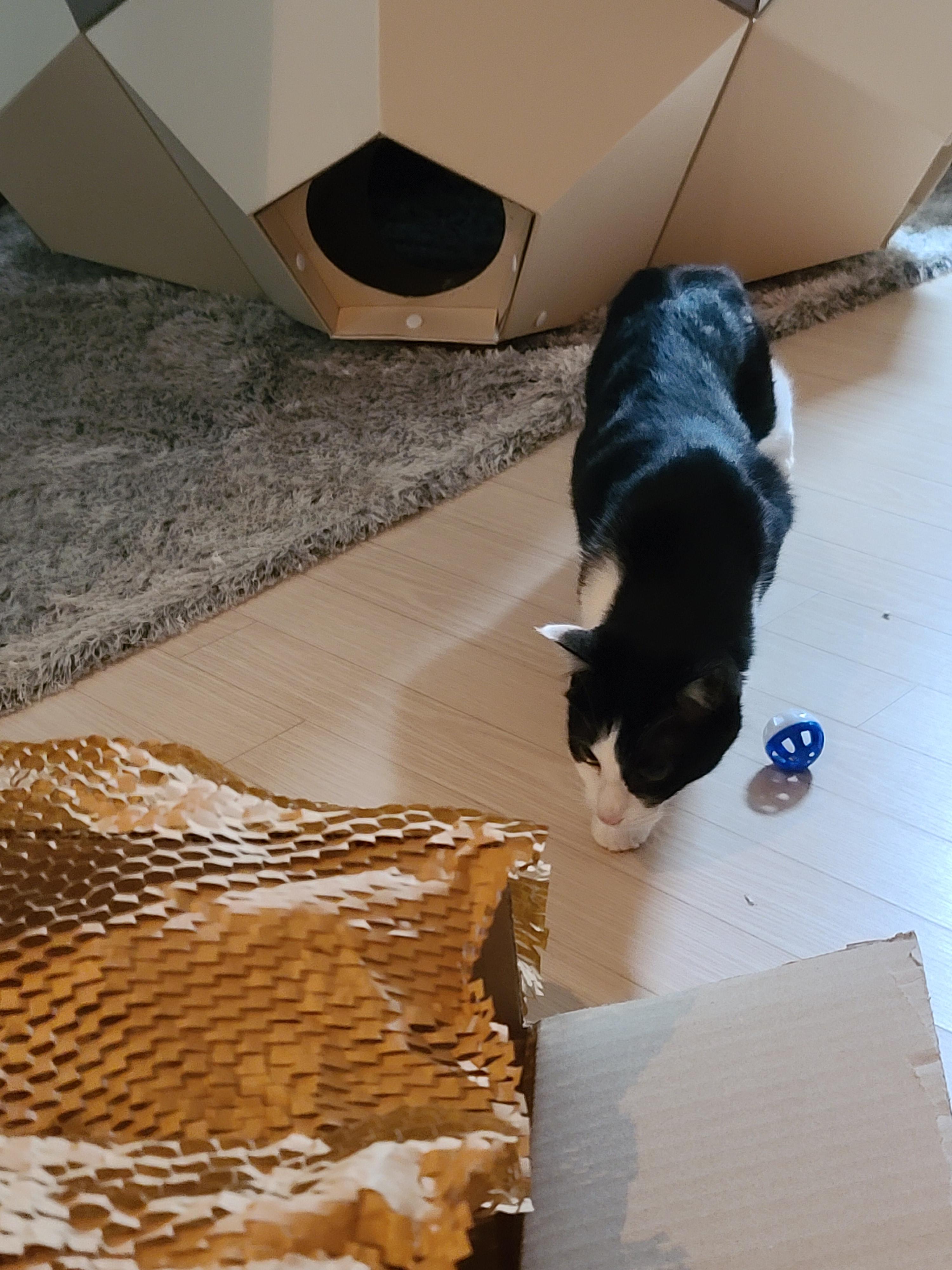 아이들의 호기심을 자극하는 장난감이 택배에 딸려왔다!