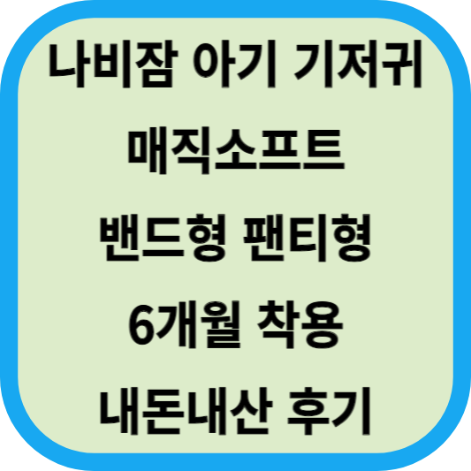 나비잠 아기 기저귀│매직소프트 밴드형 팬티형│6개월 착용 내돈내산 후기 섬네일