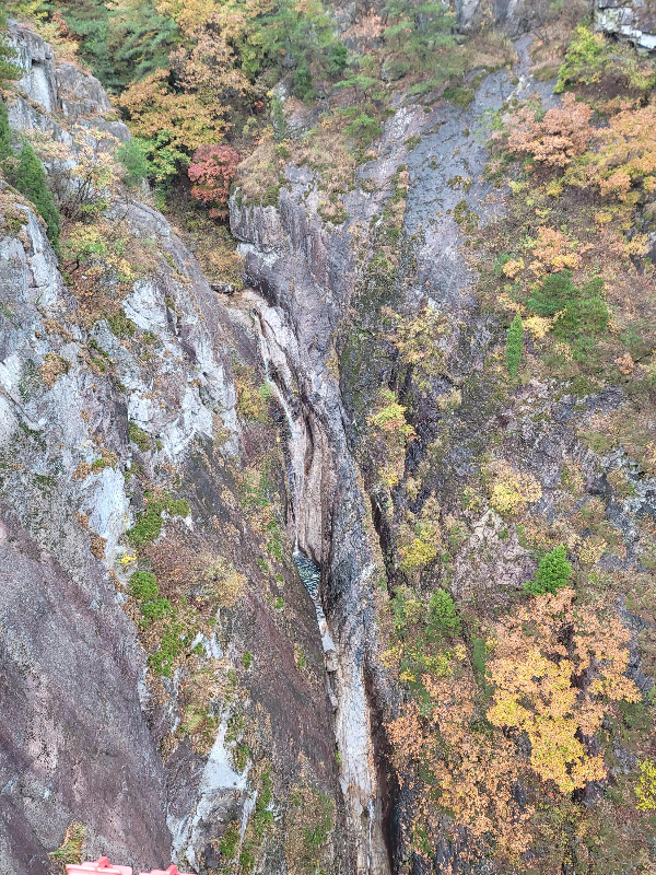 거창 출렁다리에서 바라 본 가을 풍경