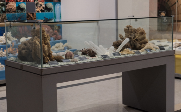 통영 수산과학관