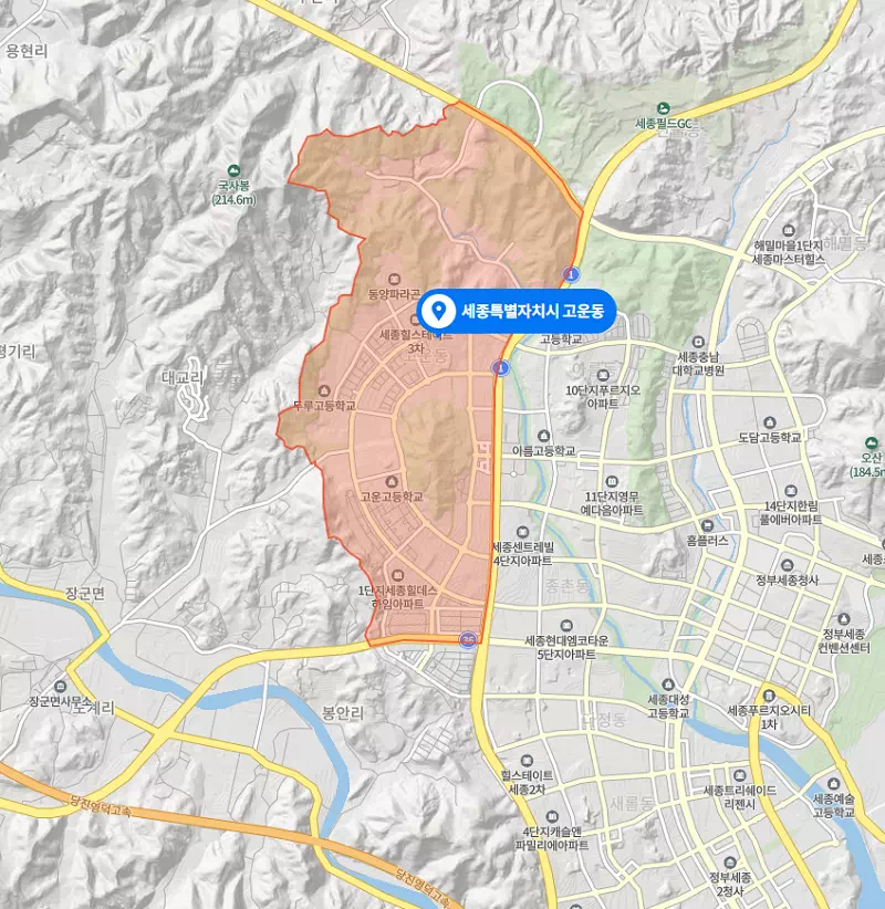 세종시 고운동. 출처: 네이버 지도
