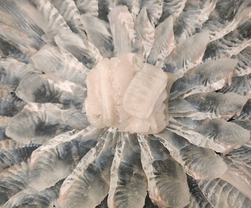 6시내고향&nbsp;속초&nbsp;장사항&nbsp;여선장&nbsp;인생은&nbsp;행복해 활어회