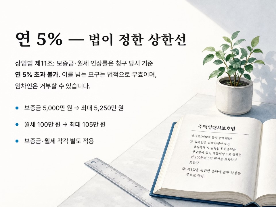 2연 5&amp; 법이 정한 상한선