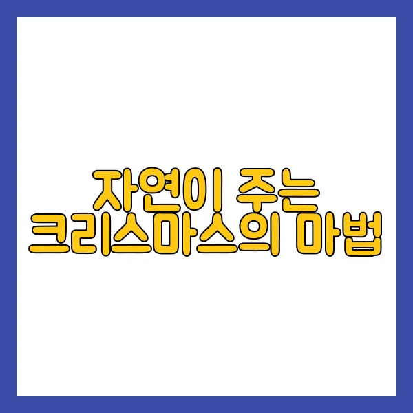 뉴질랜드