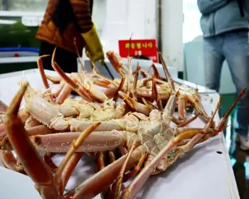 영덕대게축제_10