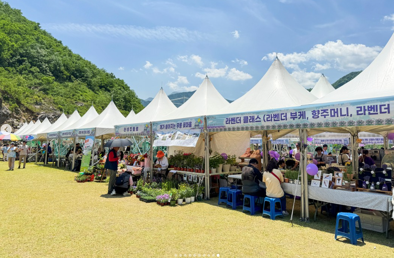 라벤더 클래스 전경