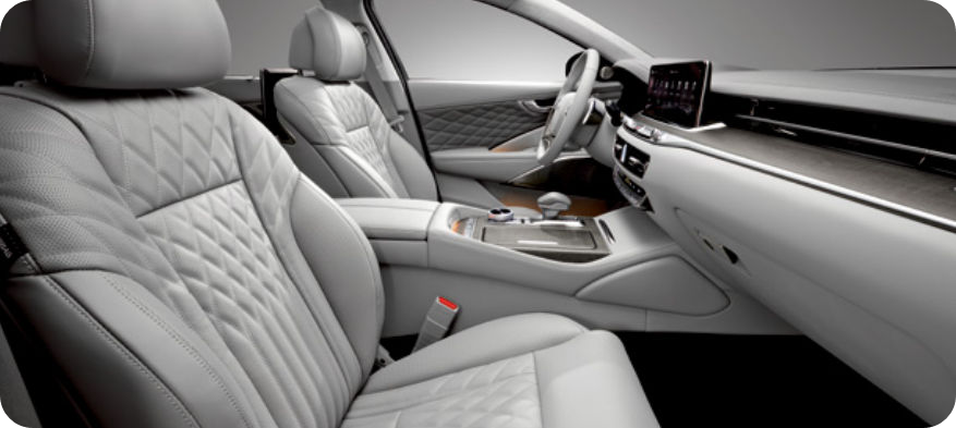 The 2024 K9 미스티 그레이