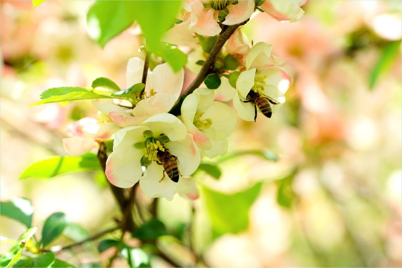 우리은행 정기예금 금리