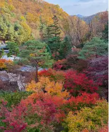 화담숲 초행자를 위한 완벽 가이드