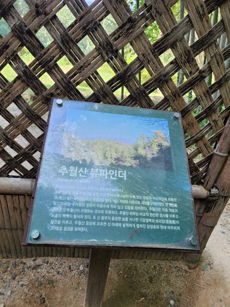 담양 죽녹원