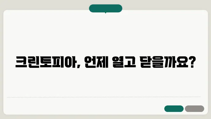 크린토피아 영업시간