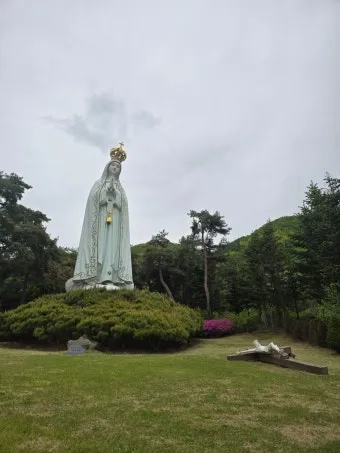 천진암 흰민들레 백양자연관찰로 괭이눈 개화_15