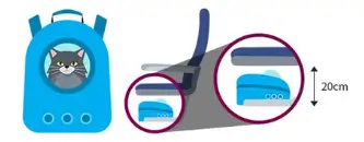 진에어 반려동물 기내 동반&amp;#44; 애견동반 가이드