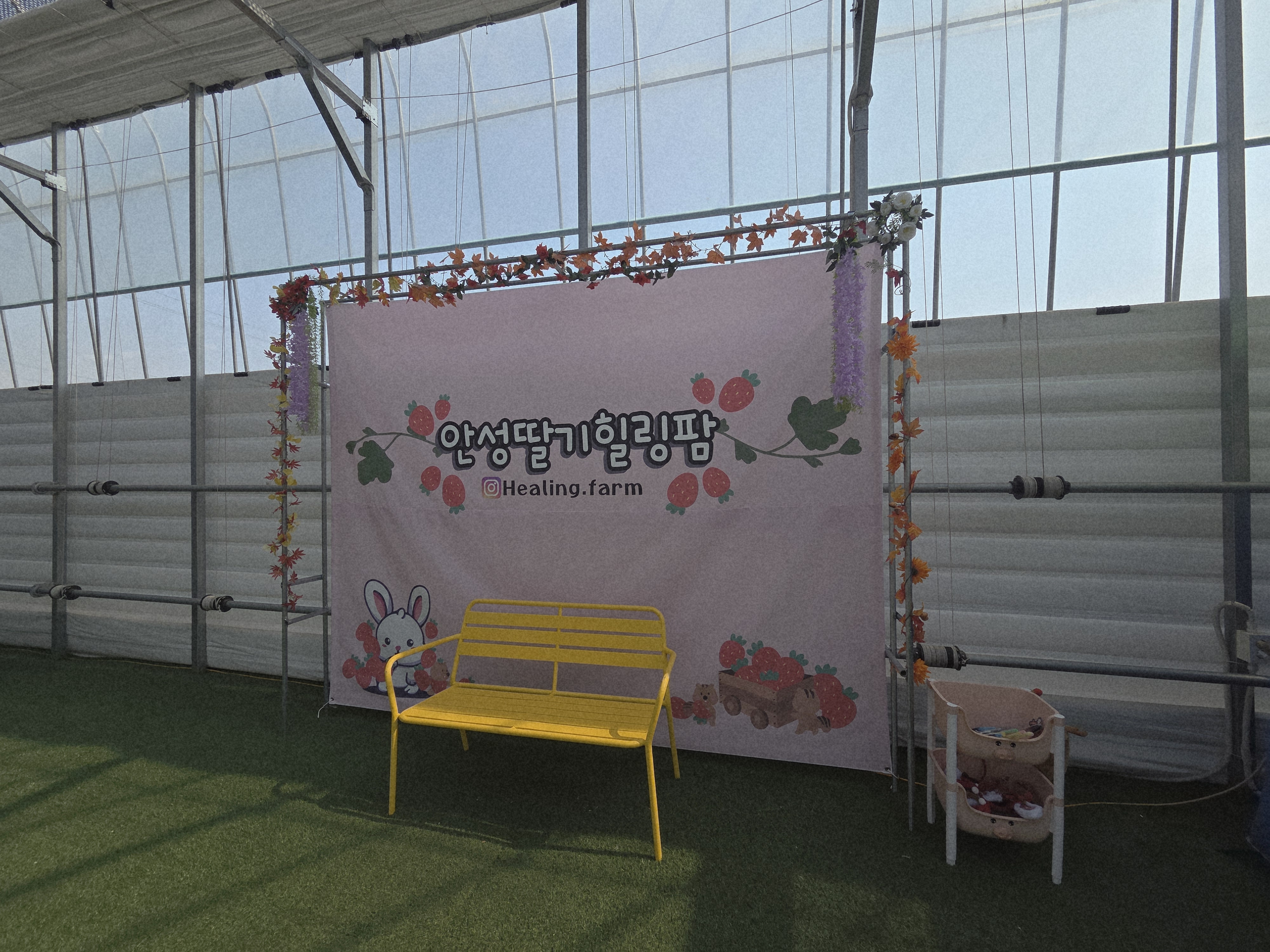 안성딸기힐링팜