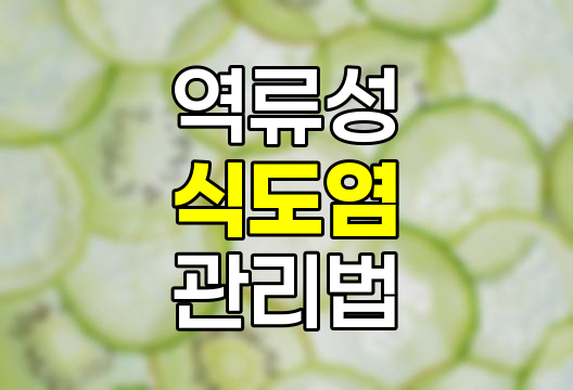역류성 식도염 증상 및 관리법, 원인, 증상, 치료, 생활 습관, 좋은 음식 관련 정보
