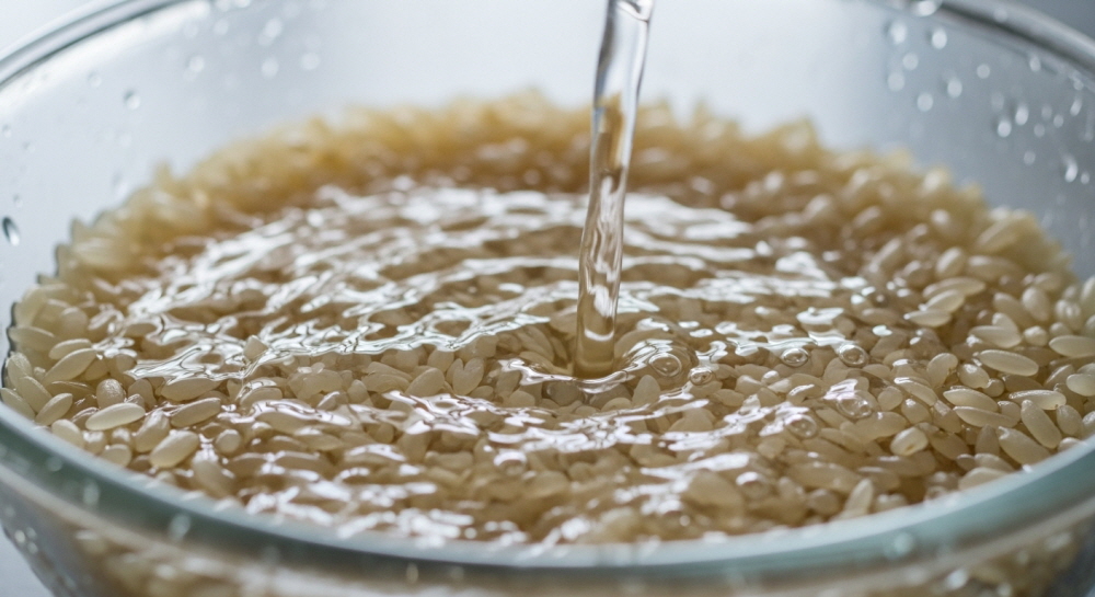 파로밥 다이어트