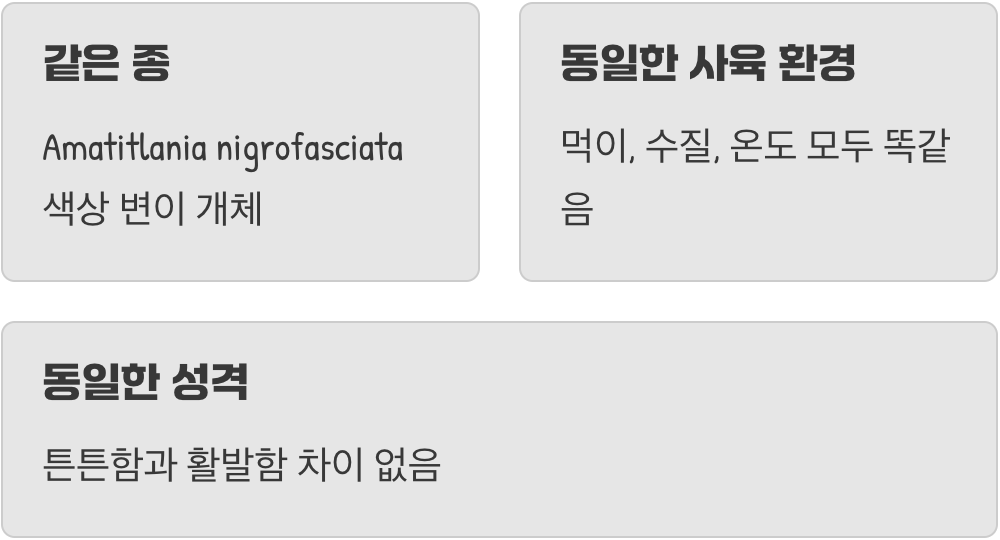 이름은 달라도 우리는 한가족
