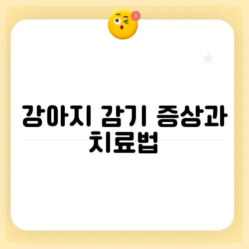 강아지 감기 증상과 치료법, 예방법 알아보세요!