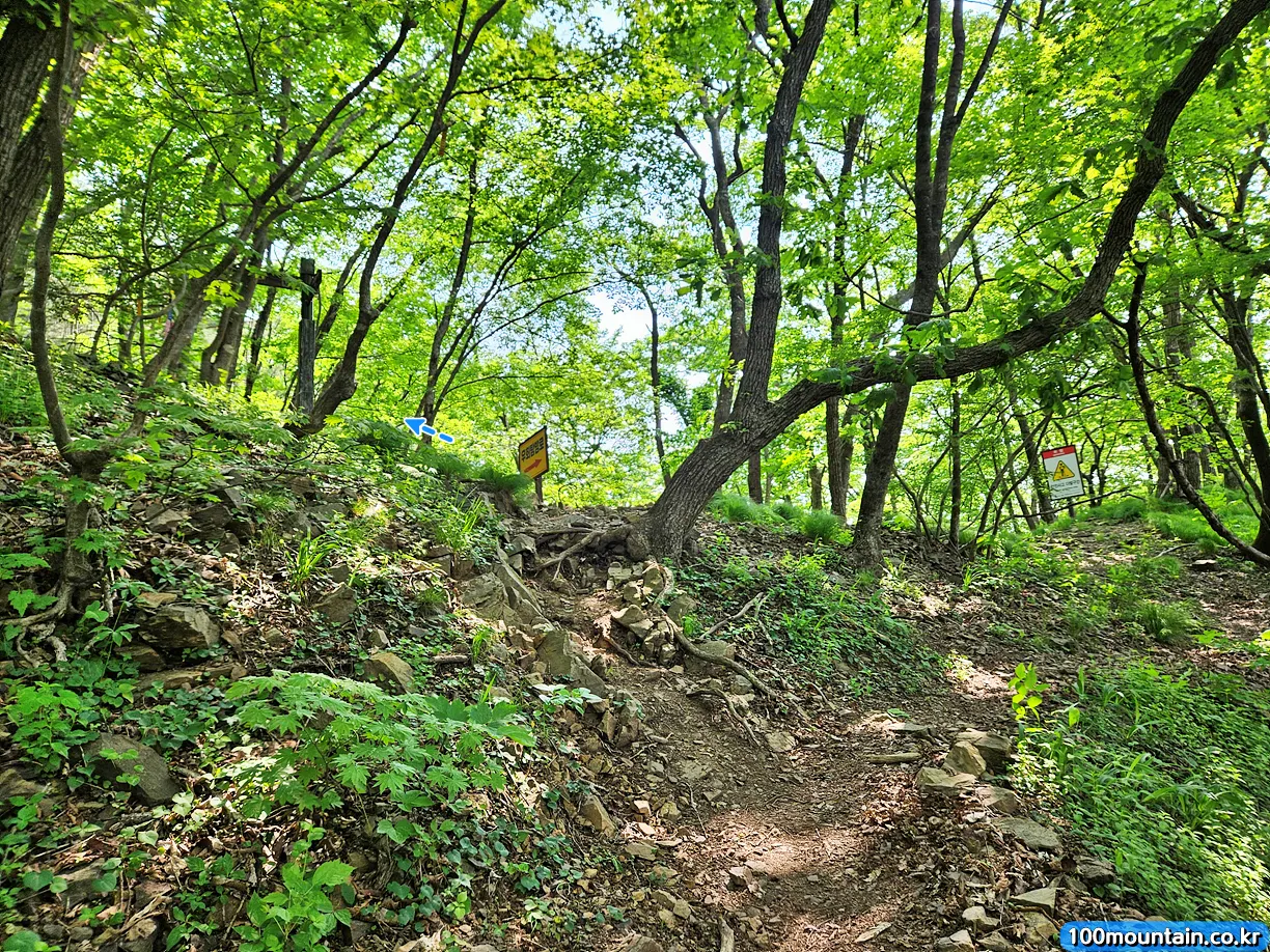 이정표