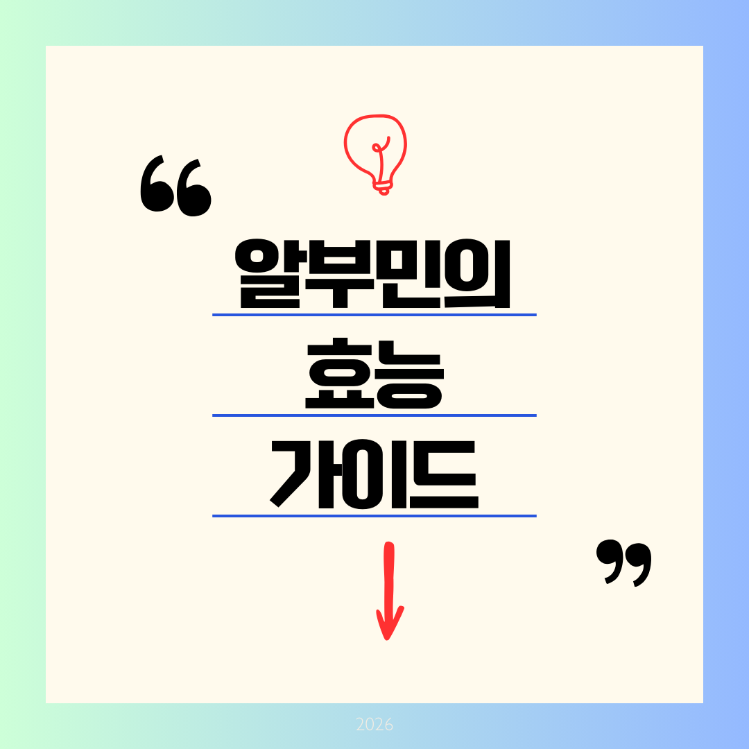 알부민의 효능과 완벽 보충 가이드