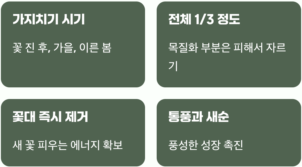 풍성함을 위한 용감한 가위질