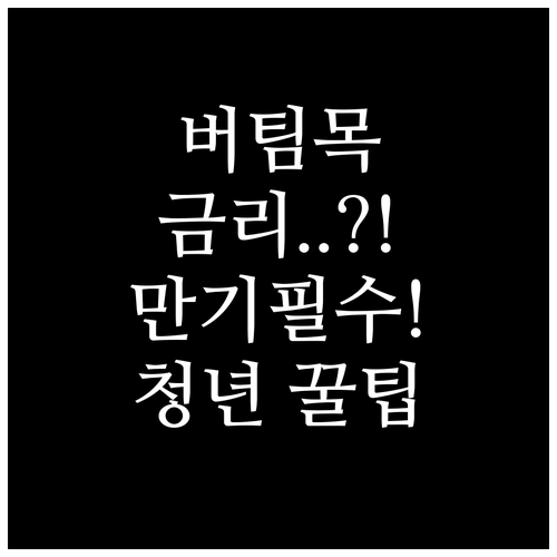 버팀목 청년 대출 금리 재점검 만기 ..