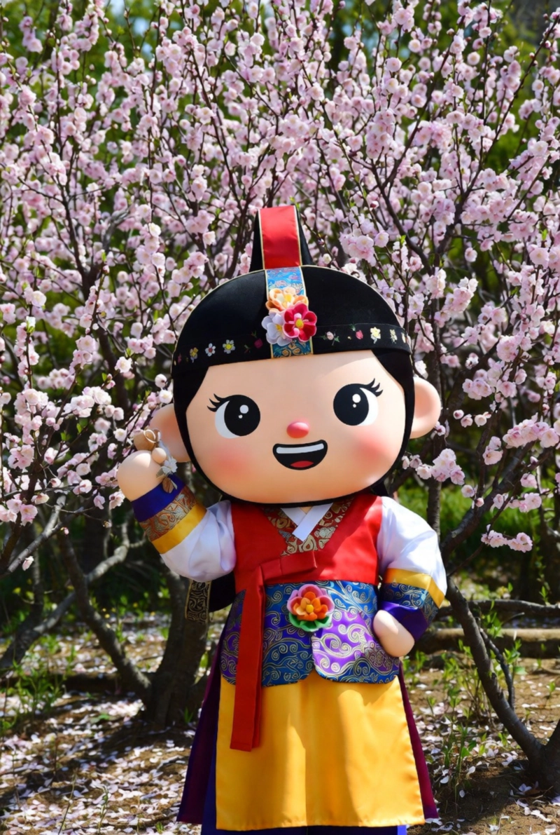 2026 광양 매화축제 행사기간(+만개시기+입장료+운영시간+주차장)