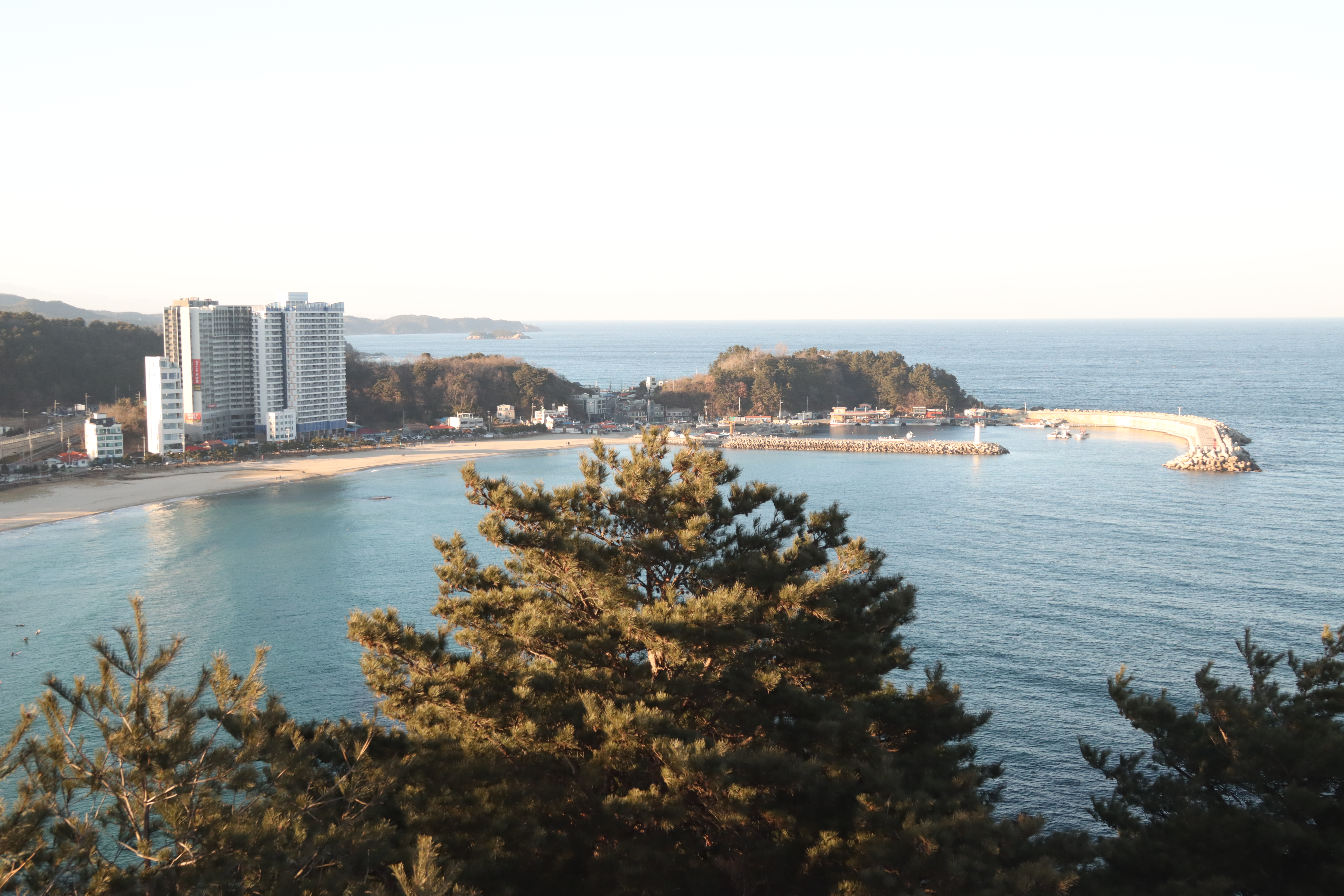 서핑
