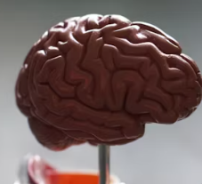 치매 초기증상 8가지 원인과 예방법