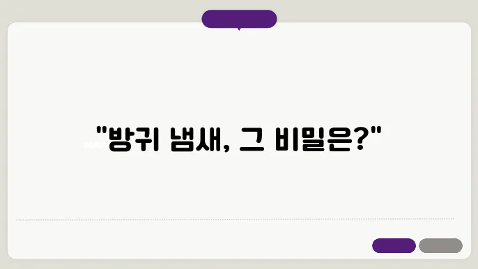 방귀 냄새가 심한이유