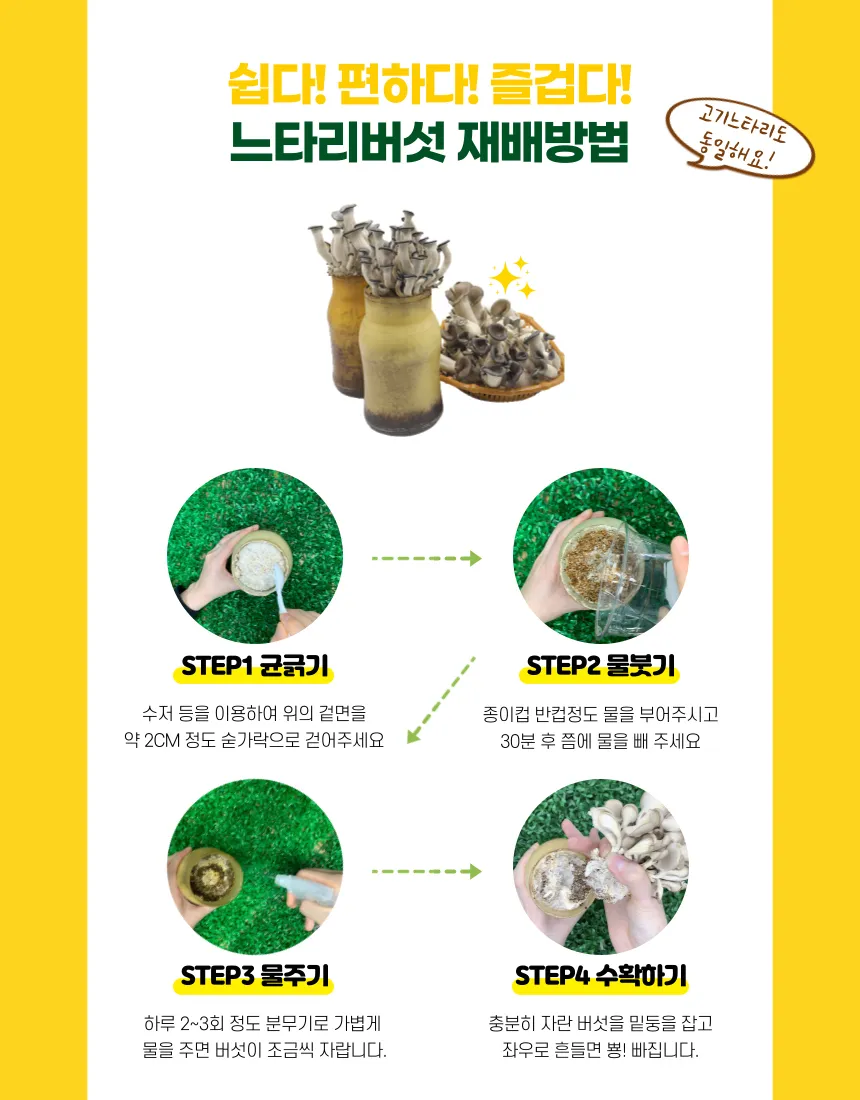느타리버섯 재배 배지 수분 온도 관리 초보 성공_7