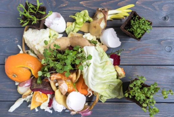 음식물쓰레기 처리를 위한 사진