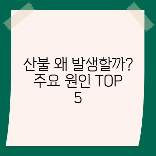 산불 왜 발생할까? 주요 원인 TOP 5