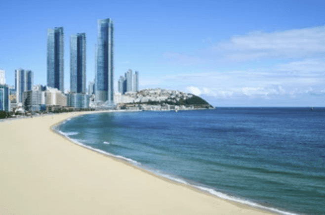 2025 부산 포트빌리지 축제｜그외 부산 명소