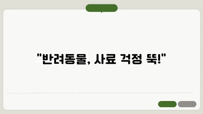 반려동물 사료 정기배송 추천 서비스 TOP3 신뢰할 수 있는 선택지 확인하기