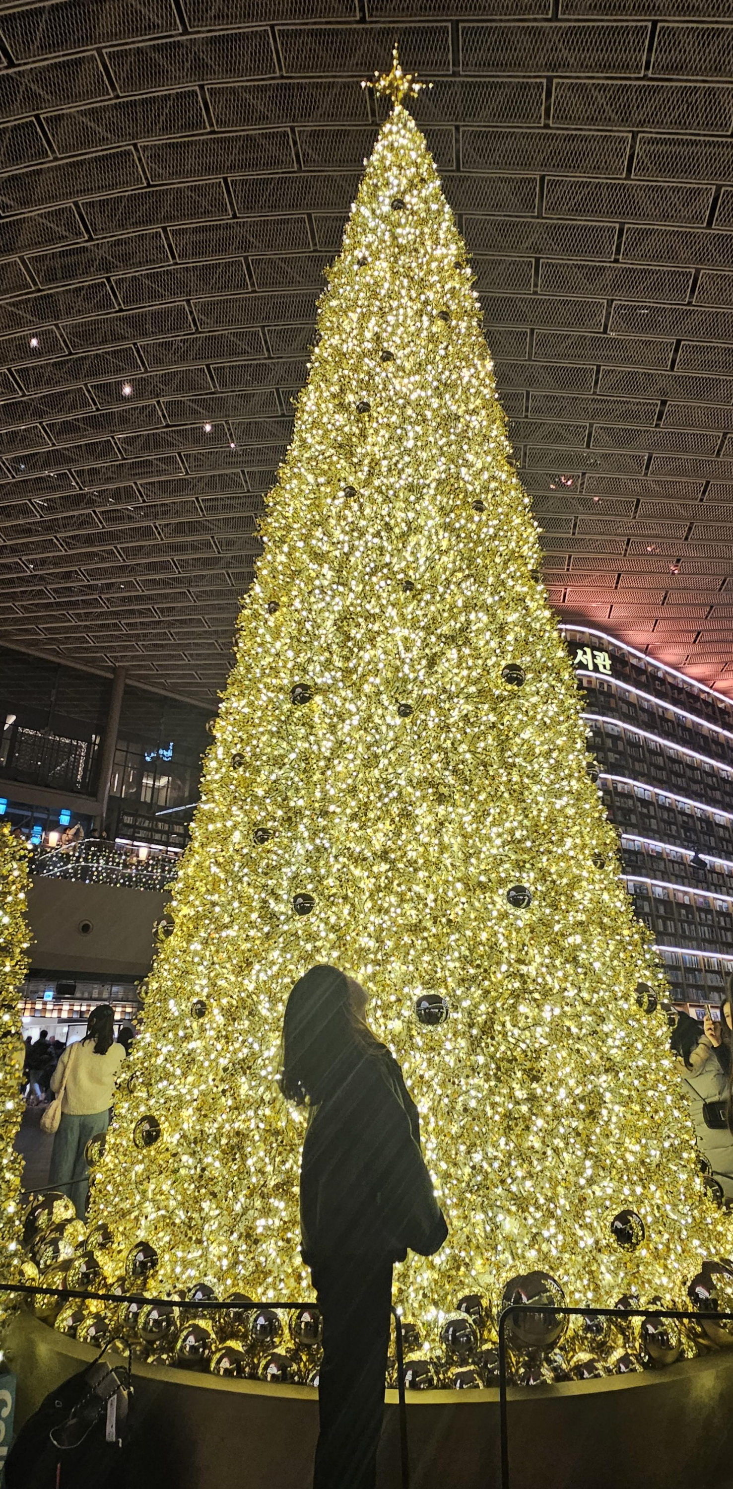 별마당_도서관_트리