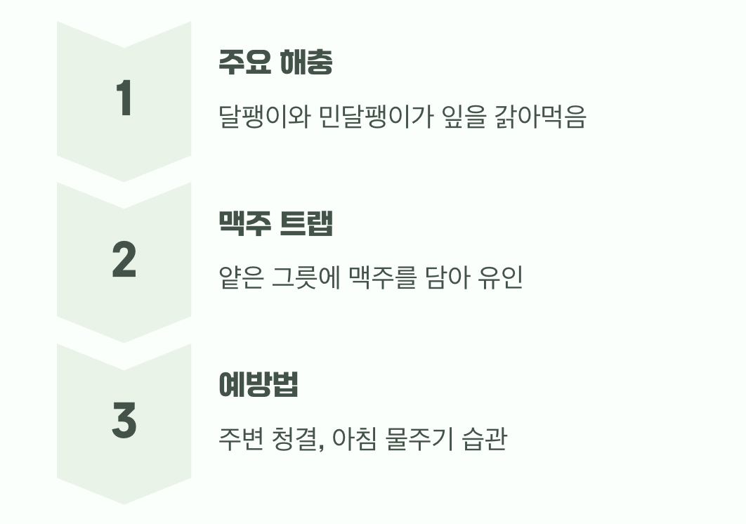 달팽이와의 전쟁