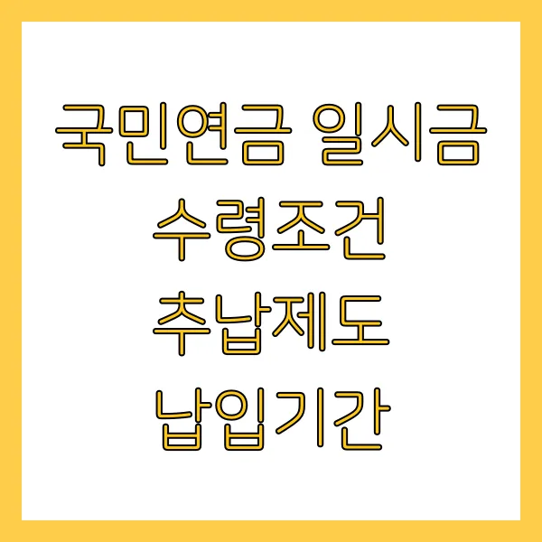 국민연금 일시금 수령조건 추납제도 납입기간 정보 총정리 (2025년)