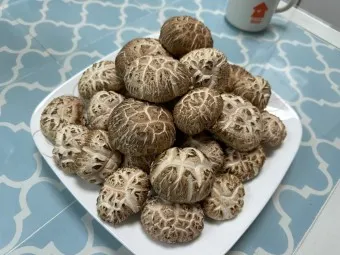 표고버섯 효능_26