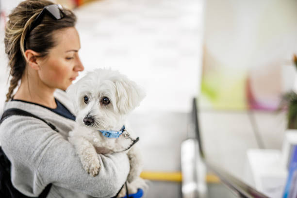 반려동물 등록 절차